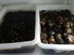 -畲乡一品鱼府土菜馆