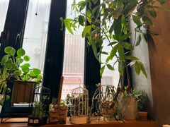 -山茶云南菜(永安里店)