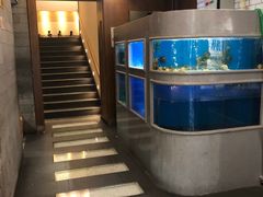 水产区-食神鱼头佛跳墙(百子湾旗舰店)