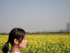 -汉长安城未央宫国家考古遗址公园