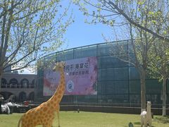 -民园广场