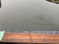 -DGE季风钓虾营地·团建·聚会