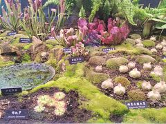 -中国科学院西双版纳热带植物园