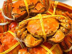 -蟹天蟹地农家菜·阳澄湖大闸蟹(浅水湾店)