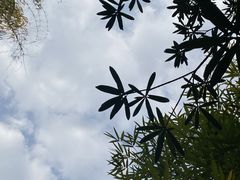-成都大熊猫繁育研究基地