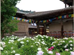 -鲁土司衙门旧址