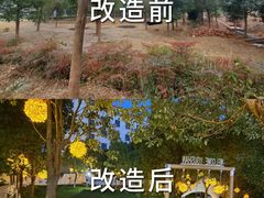 -海淀黄庄(地铁站)