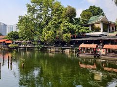 -侨美·唐荔园·40年地道粤菜