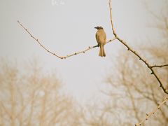 -北山街历史文化街区