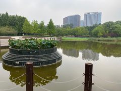 -大望京公园