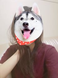 -Alger.O美感沙龙
