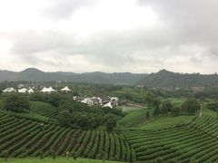 -帐篷客·溪龙茶谷度假酒店