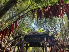 -丰都鬼城名山景区