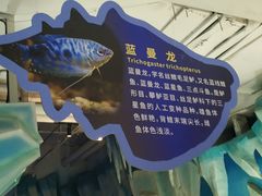 -太奥幻太奇海洋馆
