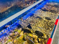 -金海湾海鲜排档(朱家尖店)