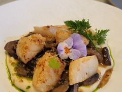 轻煎带子-OLLA 西班牙餐厅(丰盛里店)