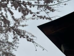 -岚山嵯峨野观光小火车