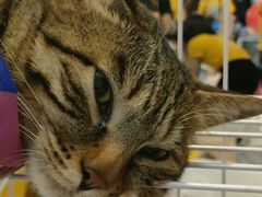 -远洋未来广场(育慧北路店)