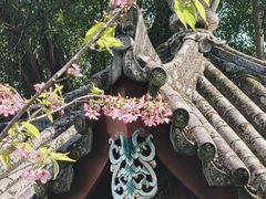 -乌山风景区