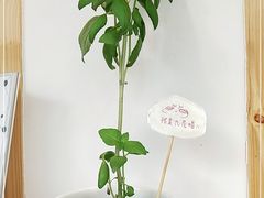 -呷贺盐酥鸡(抄纸巷店)