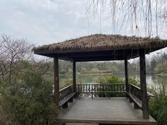 -桤木河湿地公园