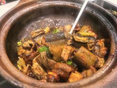 -大嫂镬仔·焖鸡煲·啫啫煲(逢源路店)