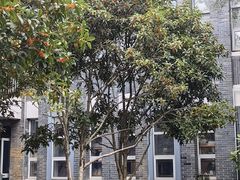 -墨池公园