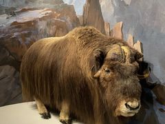 -陕西自然博物馆