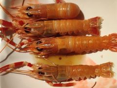 -蓝珊甄选海鲜自助·火锅大排档(近阿那亚店)