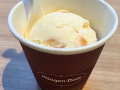 -哈根达斯(西安阳光城店)