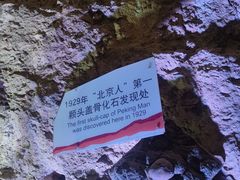 -周口店北京人遗址公园
