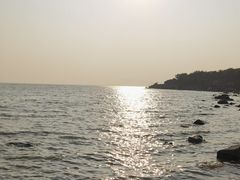 -深圳湾公园(南山区)