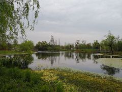 -上海长兴岛郊野公园