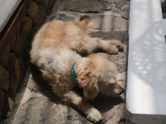 -MOJ coffee(瓯海泽雅水碓坑店)