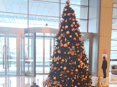 -广州奥园喜来登酒店