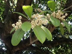 -华南国家植物园-售票处