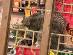 -九寨沟石锅鱼(沣峪口二十年店)