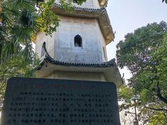 -江心屿景区
