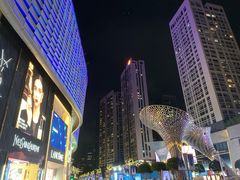 -小炳胜(卓悦中心店)