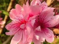 -南京金牛湖风景区