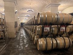 -北京张裕爱斐堡酒庄