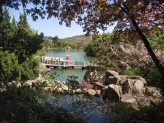 -白马涧龙池景区
