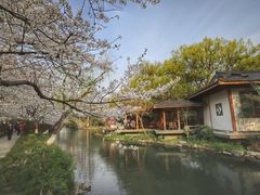 -苏堤停车场