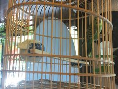 -京城小江南·北京烤鸭·江南土菜·白鱼(中关村店)