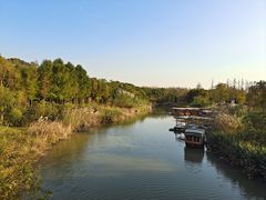 -上海长兴岛郊野公园