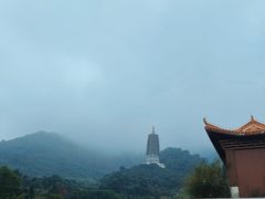 -深圳仙湖植物园