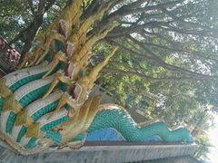 -西双版纳勐泐文化旅游区