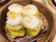 鲜虾干蒸烧卖-点都德(北京路贰店)