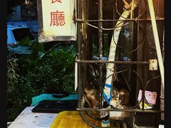 -颓记茶餐厅(美景总店)