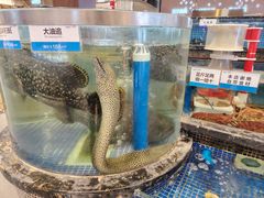 -欢乐海岸美食联盟